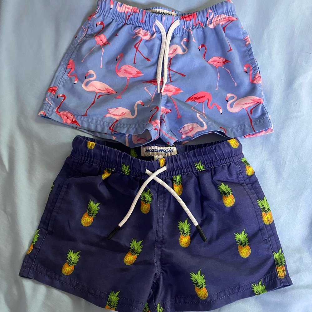 Set of 2 Kids Swim Trunks - Flamingo and Pineapple Prints